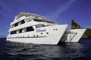 cormorant from the water1100